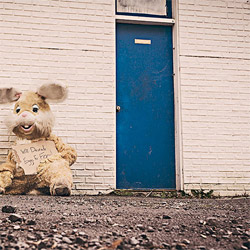 云呼网页版在线轰炸机